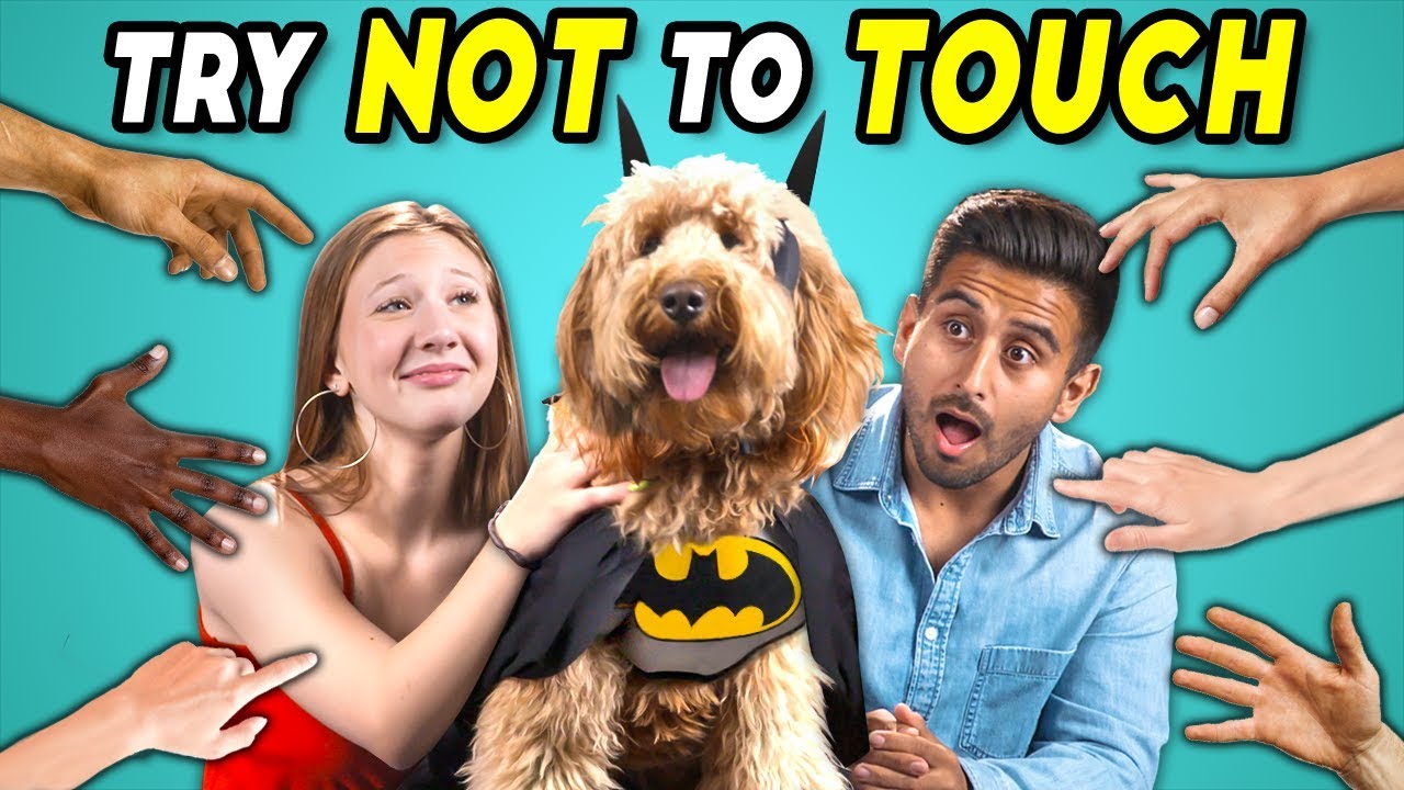 Try Not To Touch Challenge 4 Dogs Try Cosplay (Pawsplay Edition