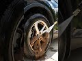 Garden Hose Upgrade: Professional Pressure Washer Gun