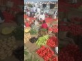 سوداني يبيع خضار يموت ضحك
