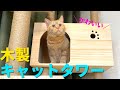 木製キャットタワー【RAKU】おすすめ！！猫たちの内覧の様子がこちらです