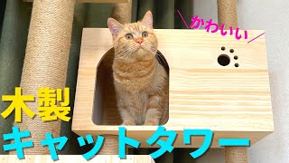 木製キャットタワー【RAKU】おすすめ！！猫たちの内覧の様子がこちらです