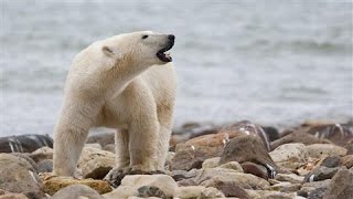 Is Two Degrees the Right Number for Climate Change?