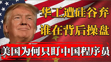 美国禁用中国工程师内幕！谁在背后操盘？美国为何只盯中国程序员？ #新聞 #經濟 #纪实 #时间 #經濟 #历史  #文化 #聊天 #中美关系 #推薦 #熱門 #新聞