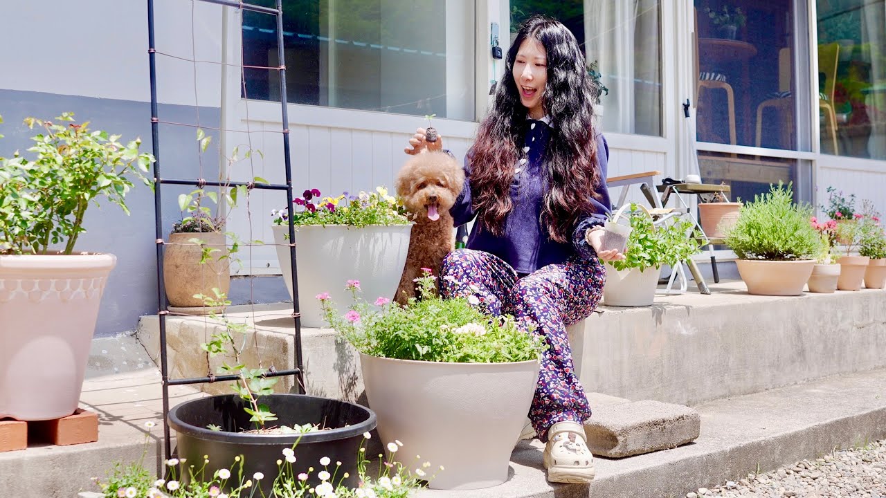 싱글 싱글 시골 라이프 🌿 파종&삽목, 모듬심기, 식물 언박싱까지 | Solo in the Korean Countryside