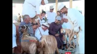 Friday Goat and Cattle Market, Nizwa, Oman | Asianet Gulf Round Up 26 MAY 2016