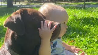 A Moment That Says It All: Baby Boy Loves His Dog