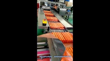 Sausage packaging machine｜Flow wrap machine for Sausage pillow packing