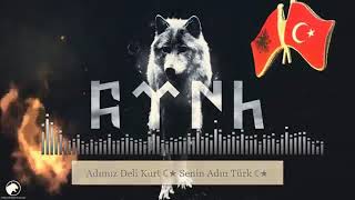 Adımız deli kurt