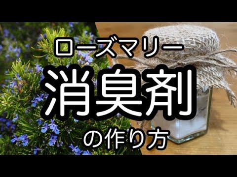 ローズマリー消臭剤の作り方 重曹とローズマリーを使って 虫除けにも I Made A Deodorant Using Rosemary Youtube