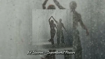 Ed Sheeran - SuperMarket Flowers (Sped Up)