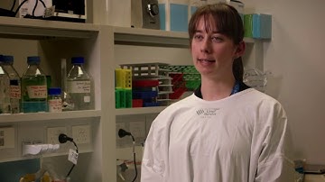 FODMAPs and Food Processing