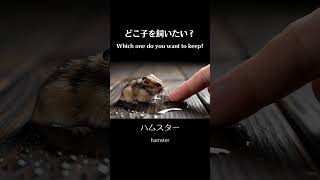 「〇〇を飼う」夢、叶うかも?あなたの推し動物に投票して!②