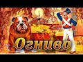Мир сказок 2 / Огниво - Игры мультики #сказка / Серия 9