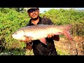 5kg Big rohu fish catching with singal Hook | big rohu fish cutting skills | |riverfishing