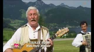 4 Tiroler Buam - Walchseer Walzer 2011