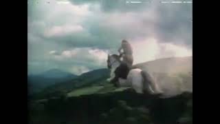 Dragonslayer TV Spot (1981)