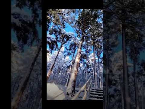 Колокольный звон на