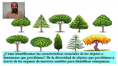 ¿Qué es la naturaleza y cuál es su importancia?