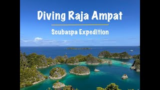 Dive Raja Ampat Dive 1 to 7