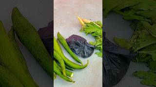 Tom And Jerry With Cute Story