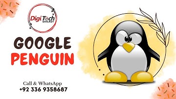 Google Penguin | A Complete Guide for Google Algorithm | Google Penguin updates (Hindi/Urdu)