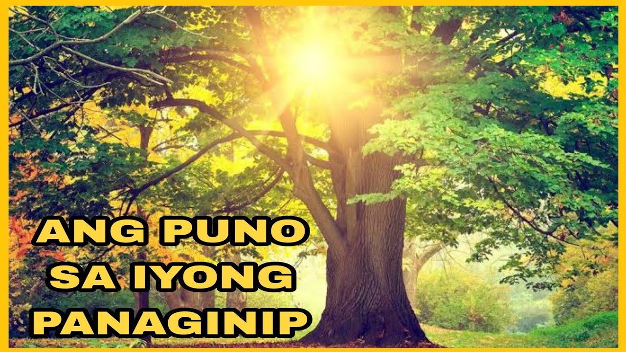 ANG PUNO SA IYONG PANAGINIP AT KAHULUGAN NITO  Dream Interpreation Dreams meaning Kleos Channel