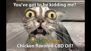 CBD Oil for Cats - Pet CBD