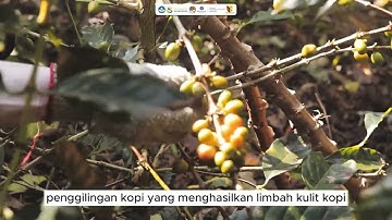 Program kegiatan Pemberdayaan Kemitraan Masyarakat tahun 2025 : Prof. Dr. Ir. Yuli Retnani dan Tim.