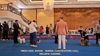 INDO DOG SHOW  MARIA CONVENTION HALL KELAPA GADING