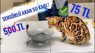 AUTOMATIC LOW PRICE WATER BOWL MAKING FOR YOUR CAT