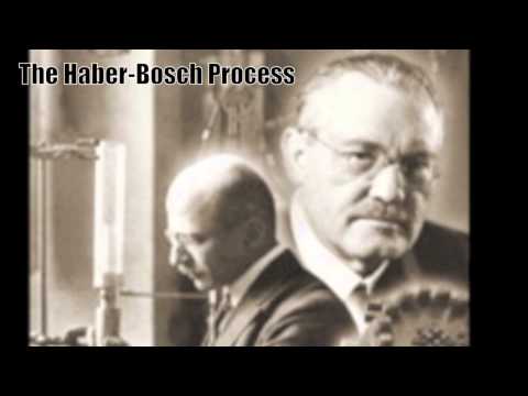 The Haber-Bosch Process: Nitrogen Fixing the World