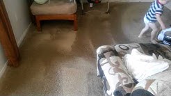 Dry Extraction Carpet Cleaning Las Vegas & Henderson Nv 0001 