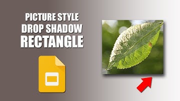 How to apply the drop shadow rectangle picture style in google slides