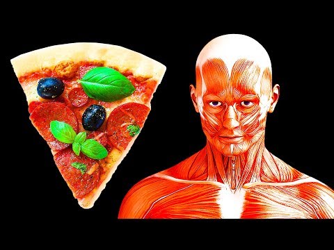 如果一整年都只吃披薩，身體會有什麼變化？