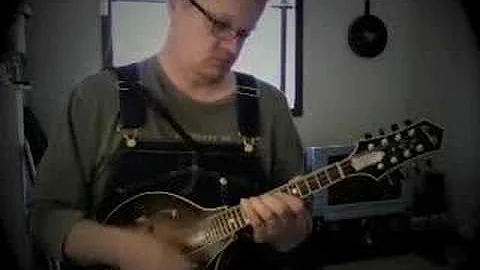 The Wind Cries Mary:  Jim Richter, mandolin