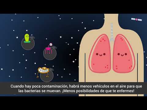 Vídeo: Enfermedades Transmitidas Por El Aire: Tipos, Prevención Y Más