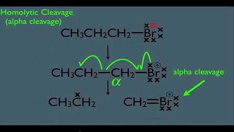Fragmentation in Mass spectrometry | Part 1