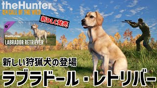 【ザハンターコールオブザワイルド】愛犬ラブラドールレトリバーと狩りを楽しもう！【theHunter: Call of the Wild 】 screenshot 4