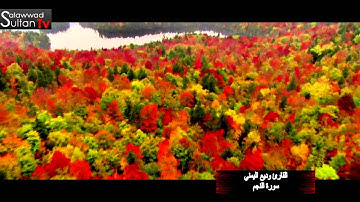 سورة النجم القارئ وديع اليمني I قناة سلطان العواد
