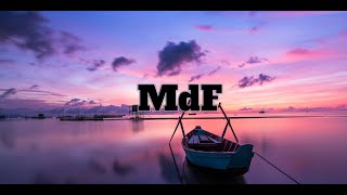 Silver Maple - Morphing Faces | MDF