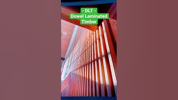 What is Mass Timber DLT (Dowel Laminated Timber) 🌲 One Line Studio architects new Denver office! ♻️