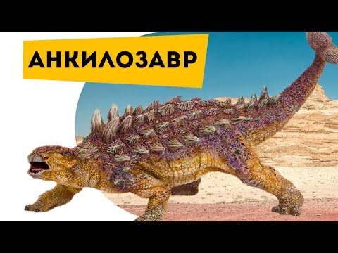 Динозавры Анкилозавр против тираннозавра. Про динозавров детям Ankylosaurus Познаватель кот Семен