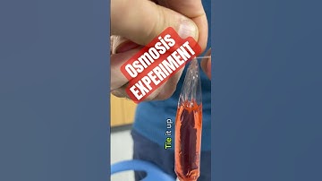 Unveiling Osmosis Secrets: A Sugar Water Diffusion Experiment with a Surprise