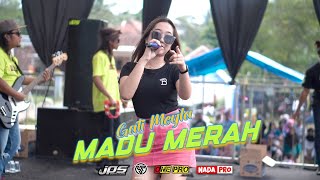 Madu Merah Gati Maila-One Pro Live Pemuda Taman Rejo