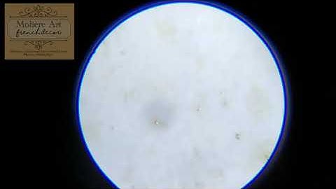 #Molière_Art_French_Decor  khảm trai Đông Dương #đồ_chạm_khảm_xưa