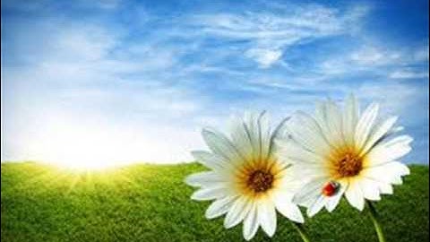 القارئ يوسف العيدروس (سورة القيامه خشوع)