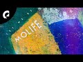 Capture de la vidéo Molife - Maneki Neko (Royalty Free Music)