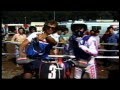 1986 Motocross des nations