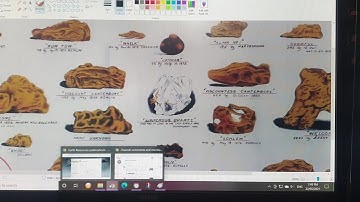 Geology: Victorian Gold Deposits introduction.