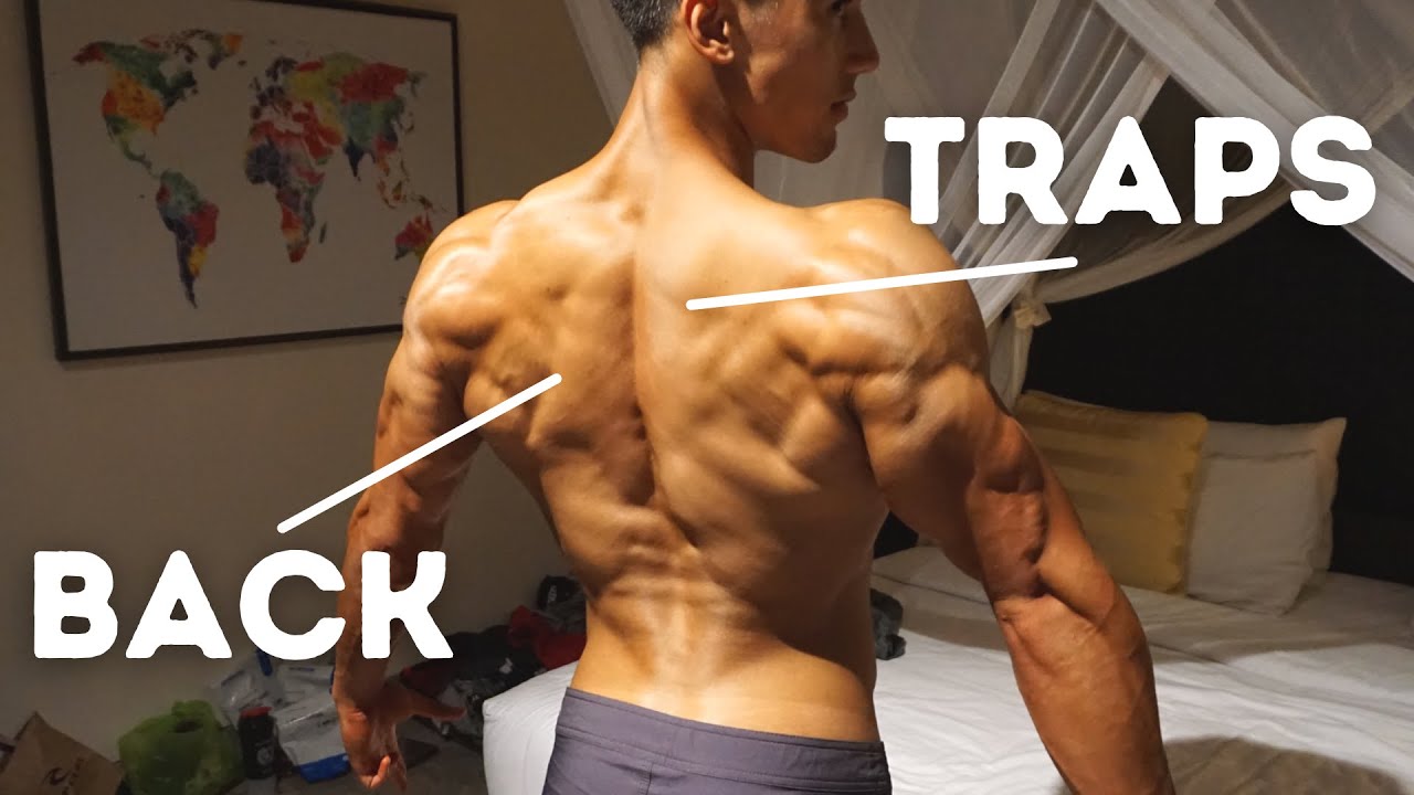 Traps Gym